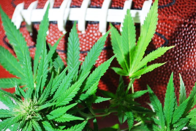 Cannabis leaves in front of a football